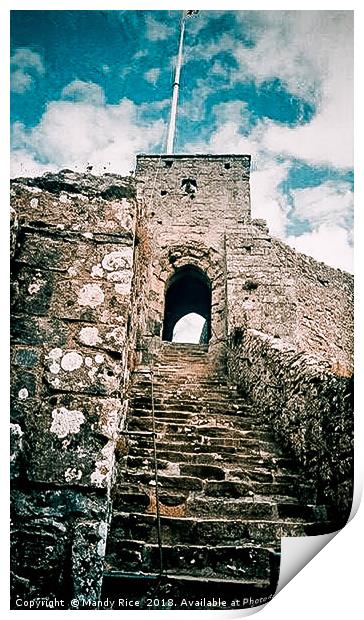 Steps of Carisbrook Castle Print by Mandy Rice