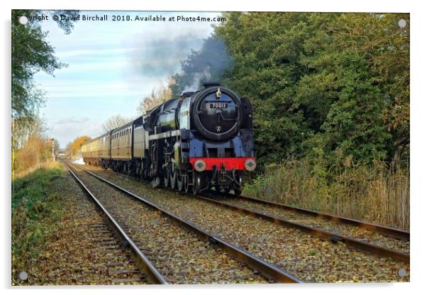 70013 Oliver Cromwell approaching Rothley. Acrylic by David Birchall