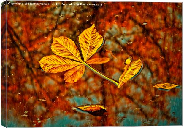 Floating Autumn Leaves Canvas Print by Martyn Arnold