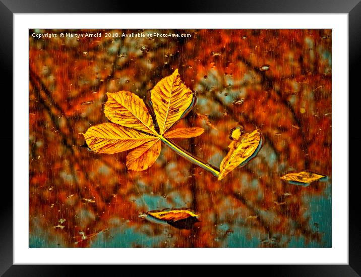Floating Autumn Leaves Framed Mounted Print by Martyn Arnold