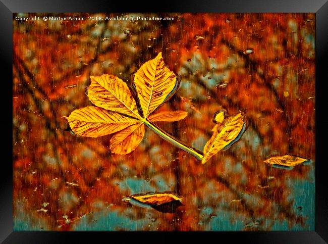 Floating Autumn Leaves Framed Print by Martyn Arnold