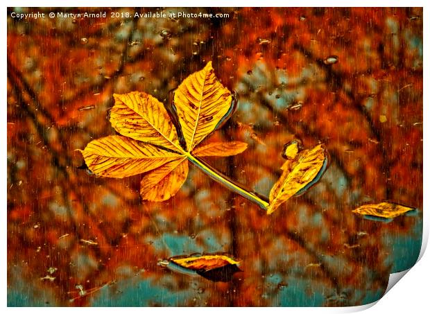 Floating Autumn Leaves Print by Martyn Arnold