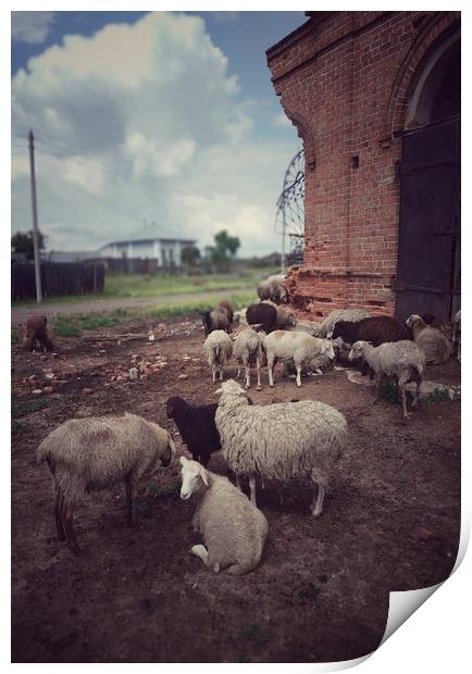 Rural scene  Print by Larisa Siverina