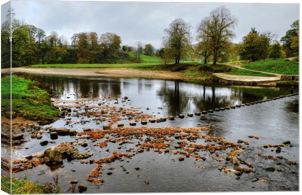 The River Wharfe Stepping Stones Canvas Print by Diana Mower