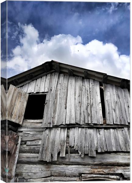 Old wood house Canvas Print by Larisa Siverina