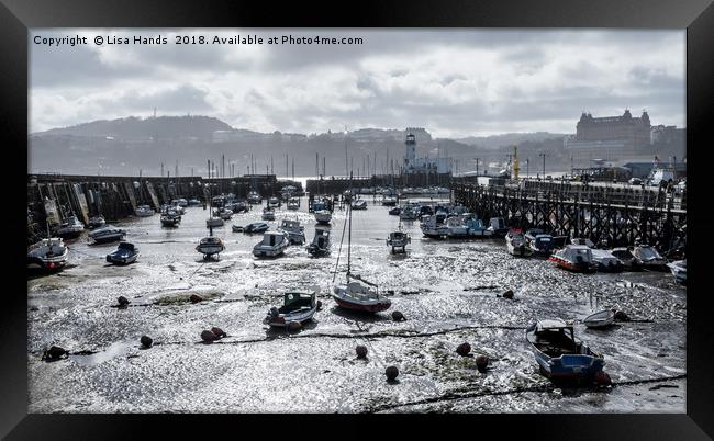 East Harbour, Scarborough, North Yorkshire Framed Print by Lisa Hands