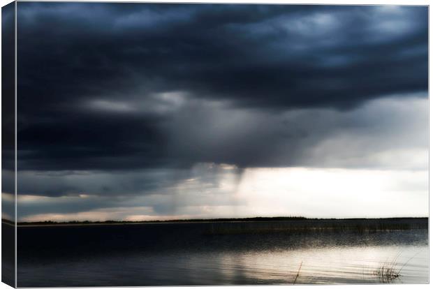 Thunderstorm on the lake Canvas Print by Larisa Siverina