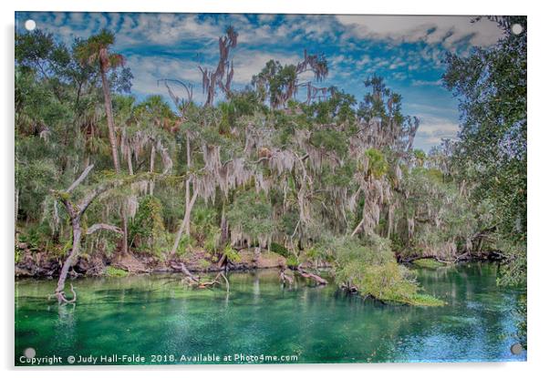 Tropical Colors Acrylic by Judy Hall-Folde