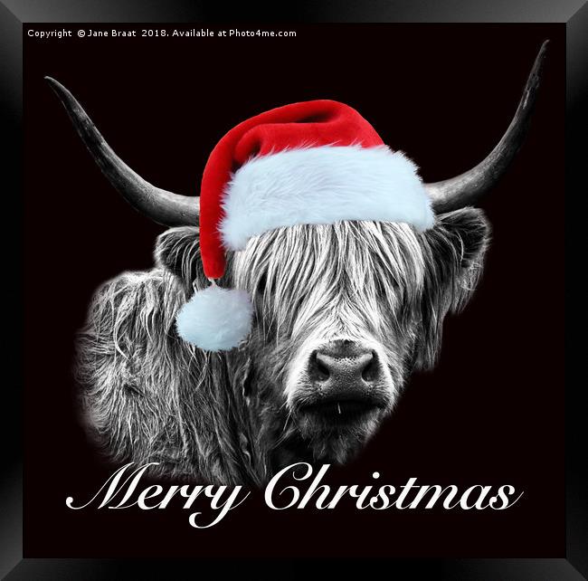 Festive Highland Cow - A Christmas Portrait Framed Print by Jane Braat