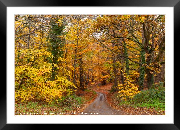 Stunning English autumn forest colours with path Framed Mounted Print by Simon Bratt LRPS