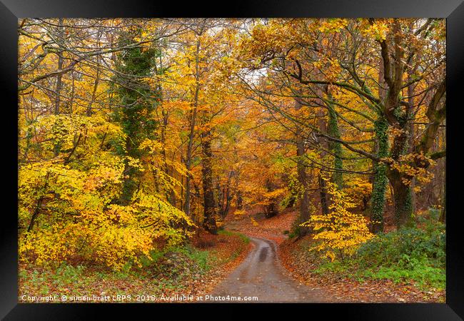 Stunning English autumn forest colours with path Framed Print by Simon Bratt LRPS