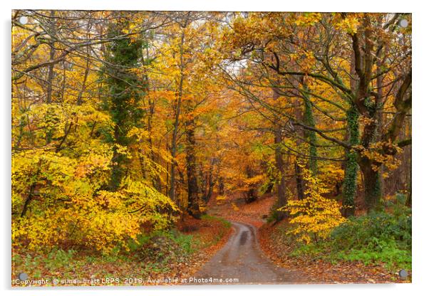 Stunning English autumn forest colours with path Acrylic by Simon Bratt LRPS