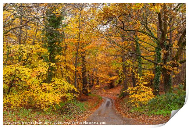 Stunning English autumn forest colours with path Print by Simon Bratt LRPS