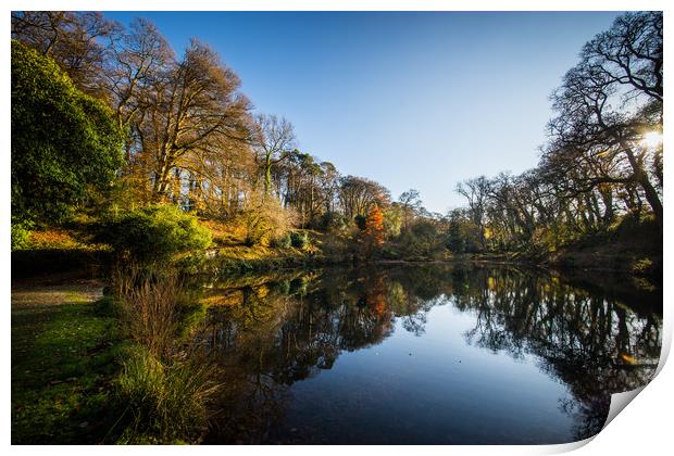 The Lake at Pencarrow Print by David Wilkins