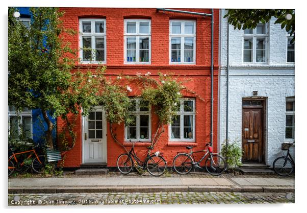 Picturesque colorful houses in Copenhagen Acrylic by Juan Jimenez