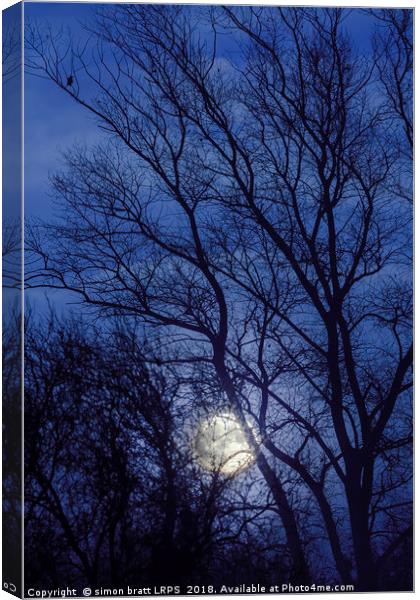 Full moon rising through trees  Canvas Print by Simon Bratt LRPS
