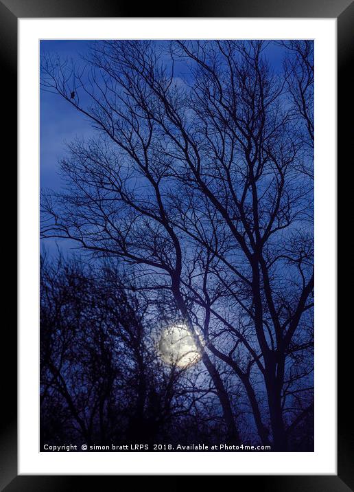 Full moon rising through trees  Framed Mounted Print by Simon Bratt LRPS
