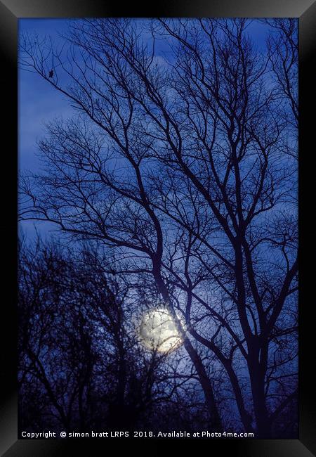 Full moon rising through trees  Framed Print by Simon Bratt LRPS