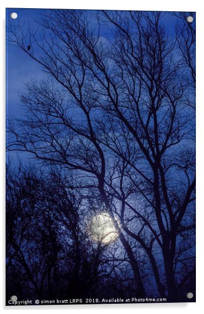 Full moon rising through trees  Acrylic by Simon Bratt LRPS