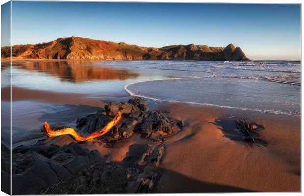 Driftwood at Three Cliffs Bay Canvas Print by Leighton Collins