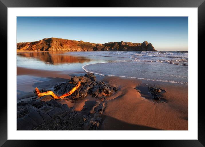 Driftwood at Three Cliffs Bay Framed Mounted Print by Leighton Collins