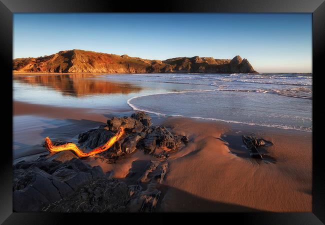 Driftwood at Three Cliffs Bay Framed Print by Leighton Collins