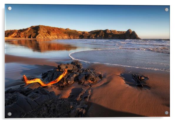 Driftwood at Three Cliffs Bay Acrylic by Leighton Collins