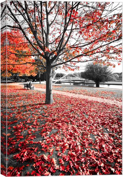 Bedford in Autumn Canvas Print by Graham Custance