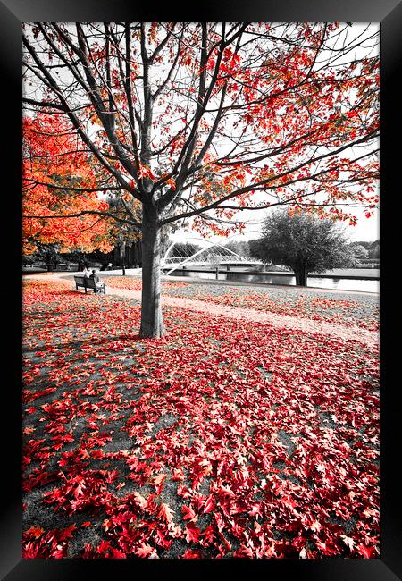 Bedford in Autumn Framed Print by Graham Custance