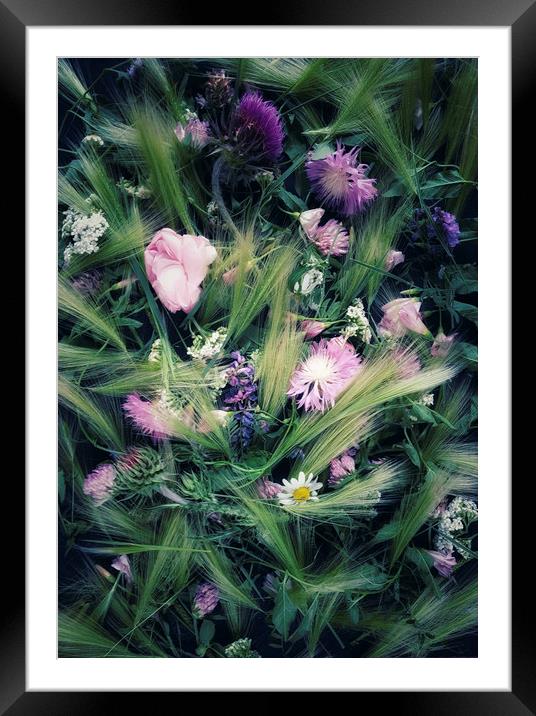 Meadow flowers Framed Mounted Print by Larisa Siverina