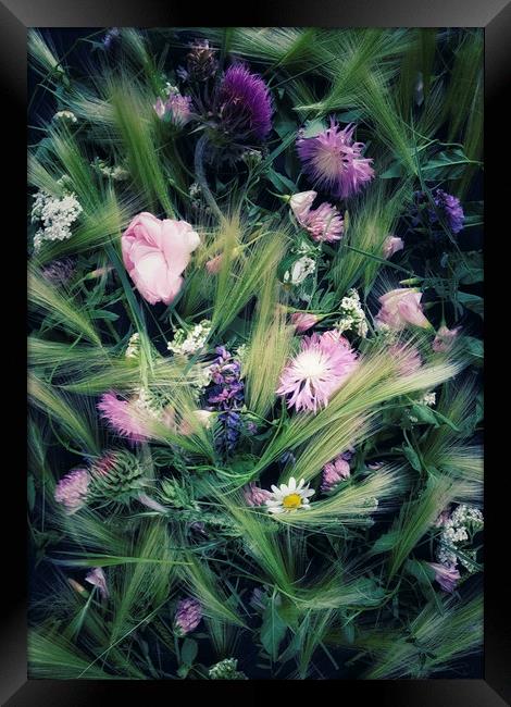 Meadow flowers Framed Print by Larisa Siverina