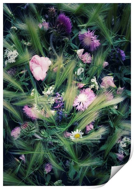 Meadow flowers Print by Larisa Siverina