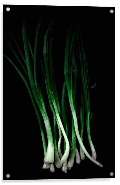 Green onion Acrylic by Larisa Siverina
