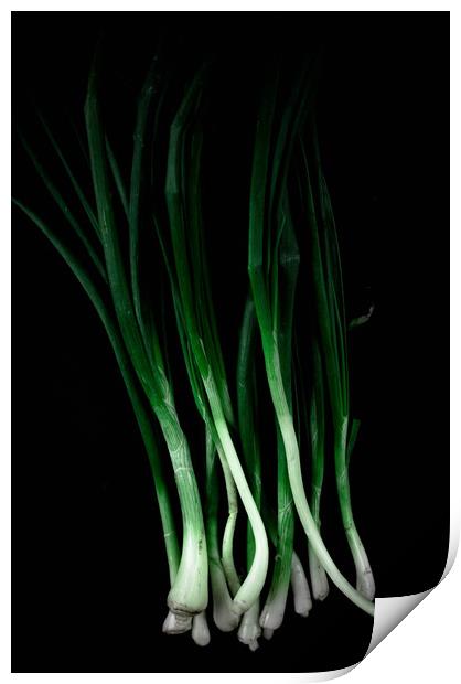 Green onion Print by Larisa Siverina