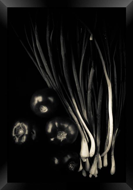 Black vegetable Framed Print by Larisa Siverina
