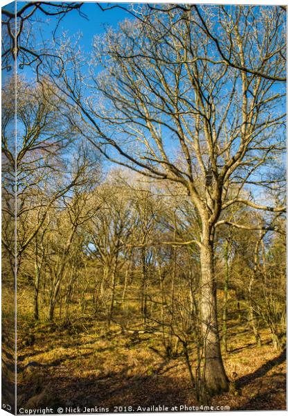 Winter Woodland Vale of Neath in South Wales Canvas Print by Nick Jenkins