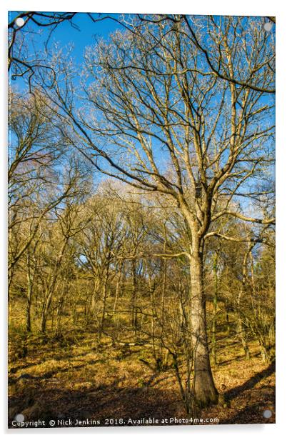 Winter Woodland Vale of Neath in South Wales Acrylic by Nick Jenkins