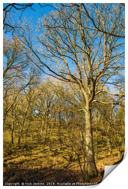 Winter Woodland Vale of Neath in South Wales Print by Nick Jenkins