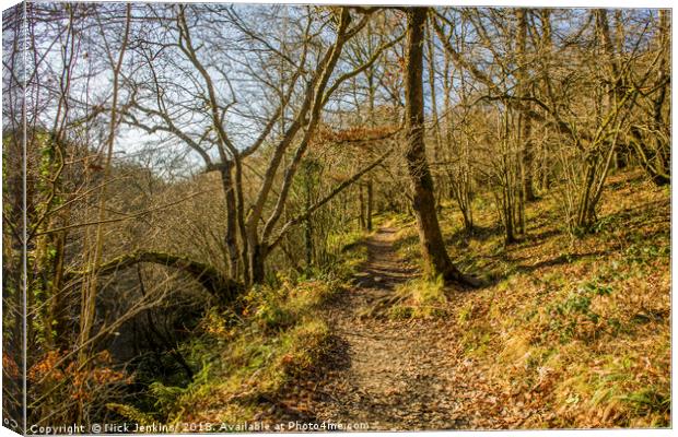 Footpath through the Vale of Neath South Wales Canvas Print by Nick Jenkins