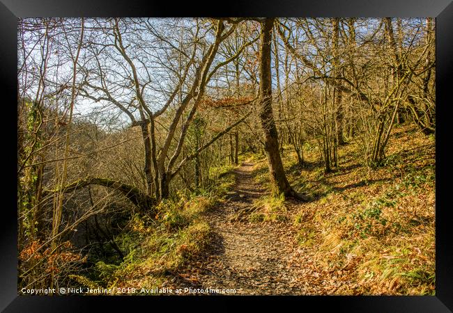 Footpath through the Vale of Neath South Wales Framed Print by Nick Jenkins