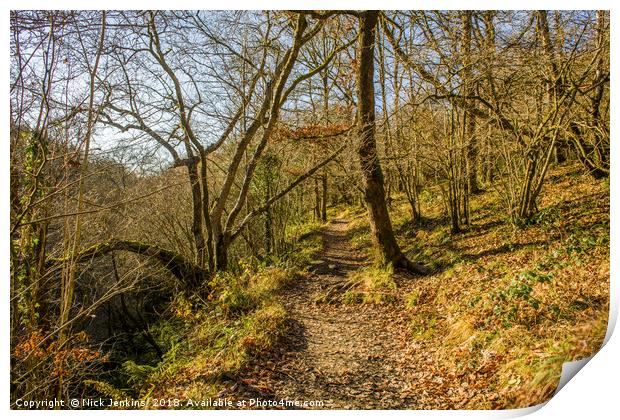 Footpath through the Vale of Neath South Wales Print by Nick Jenkins