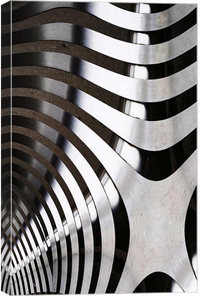 Curves of Steel Canvas Print by Christine Lake