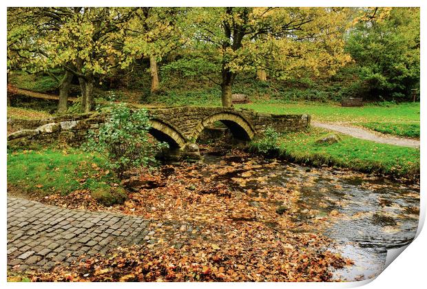Wycoller Packhorse bridge over the Beck Print by Diana Mower