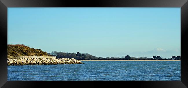 Hamble Point Framed Print by Donna Collett