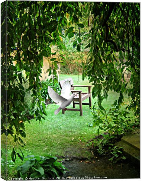 Garden of Peace Canvas Print by Heather Goodwin