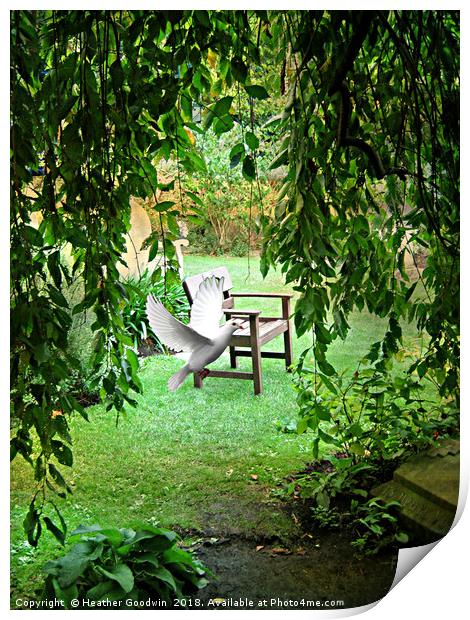 Garden of Peace Print by Heather Goodwin