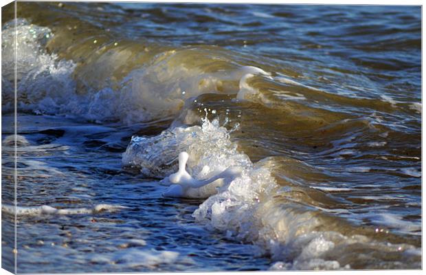 Wave & foam Canvas Print by Donna Collett