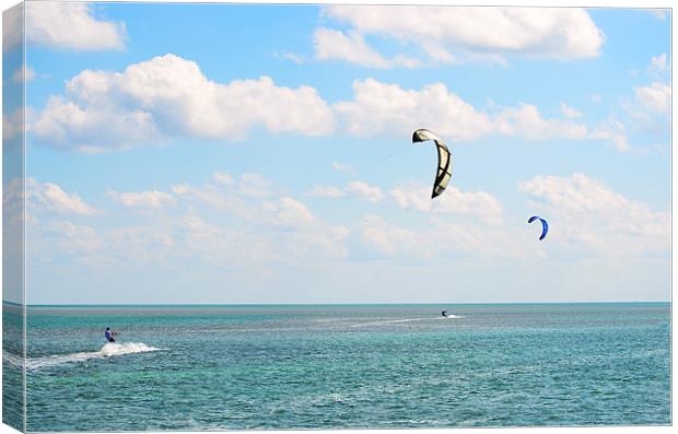 Gliding on the Waves Canvas Print by Chris Thaxter