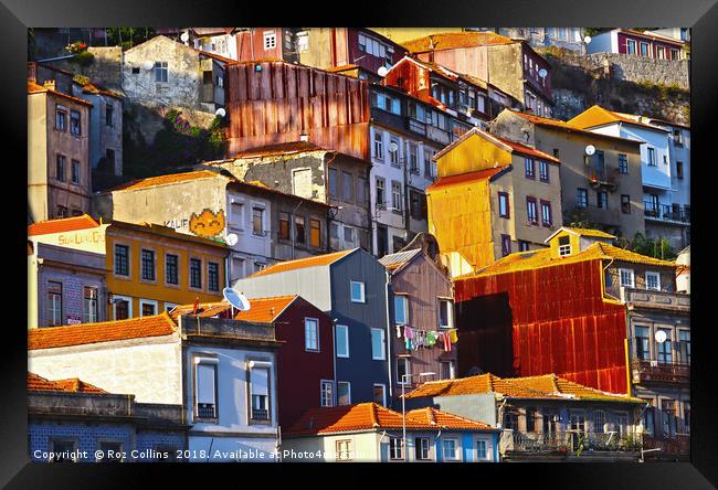 Riverside Homes, Porto Framed Print by Roz Collins