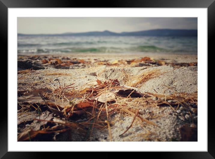 Autumn  lake Framed Mounted Print by Larisa Siverina